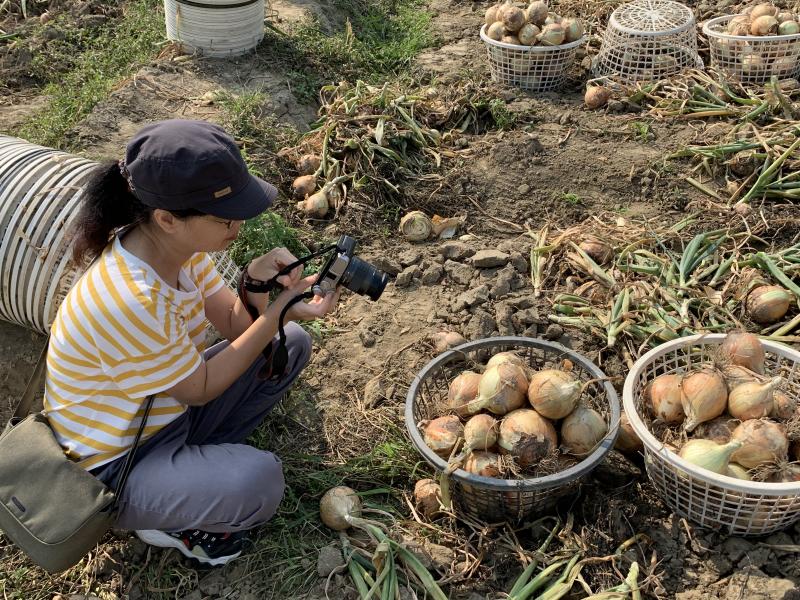 學員拍攝洋蔥影像為日後上架販售蒐集素材。