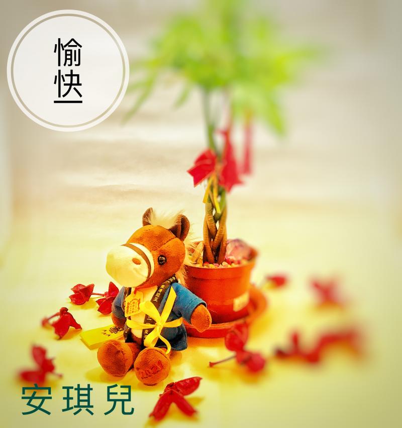 學員陳安琪的上課作品