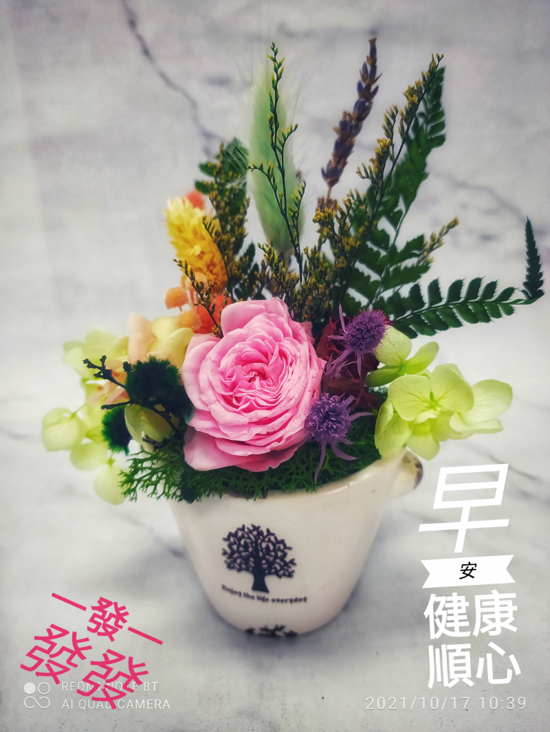 學員楊麗英的上課作品