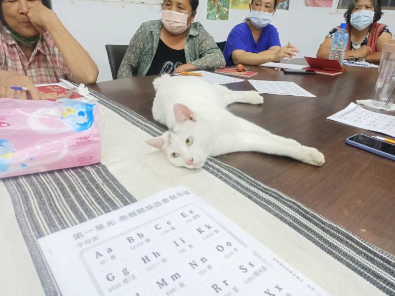 這是誰家的貓啊....哈哈哈...讓大家有些輕鬆的感覺...還是繼續努力把族語學好喔.