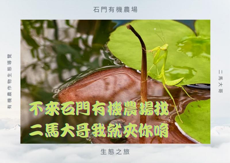 學員寫facebook貼文