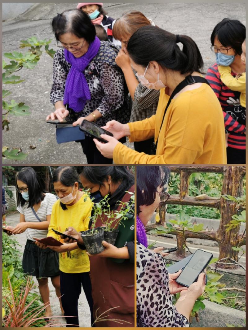 分組體驗Google 智慧鏡頭辨識植物