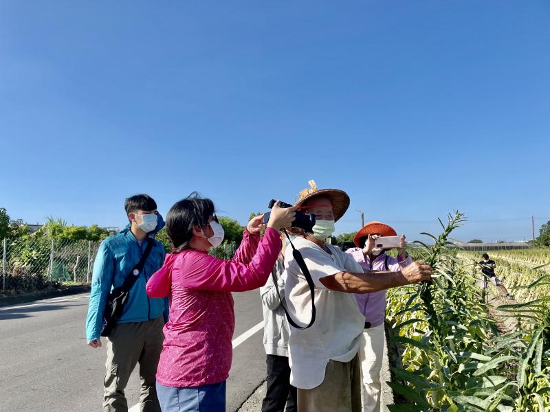 學員實際到麻農田裡拍攝