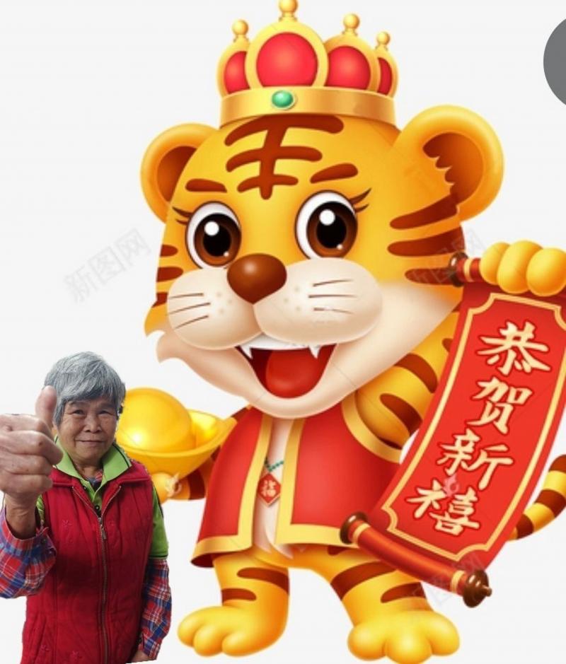 搭配平班電腦及網路資源-潮州四春虎年賀歲卡製作-2