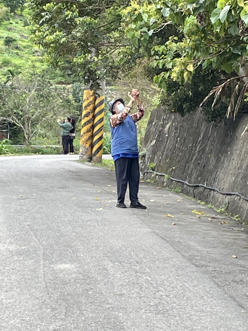 烏龜，青蛙是我兒時的玩伴