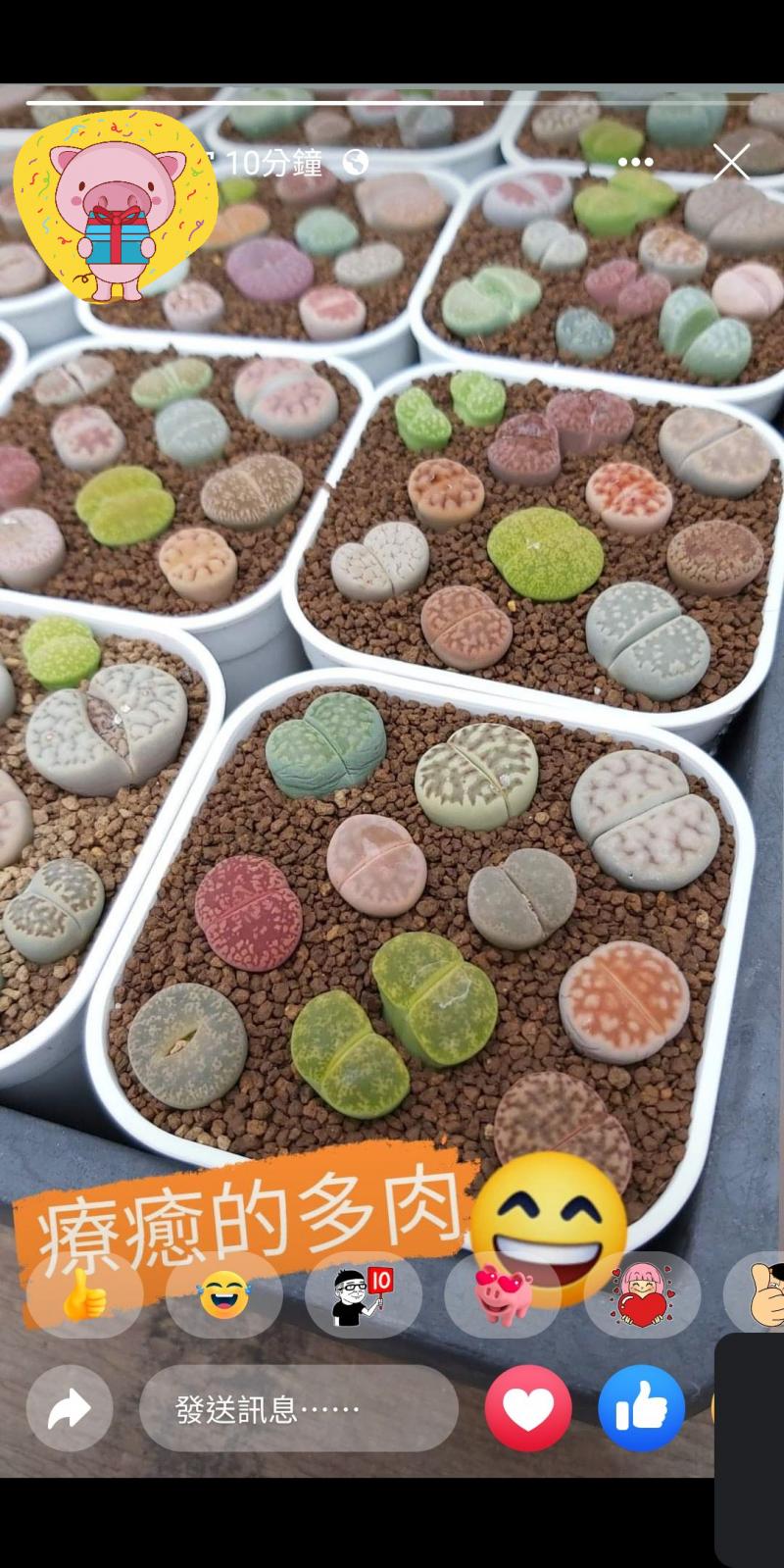 學員首次嘗試使用臉書限時限動功能