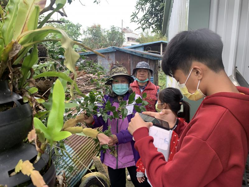 植物有哪些特性、功能、吃飽、美味、甚至物理治療 醫治病人。