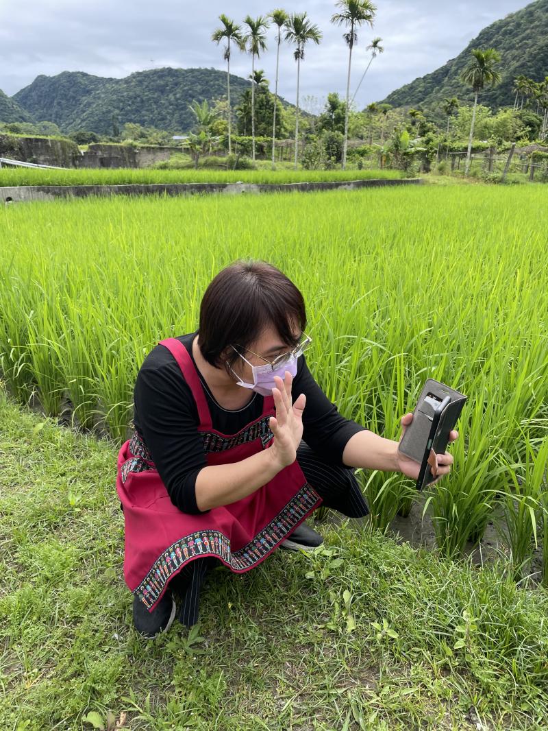手機試一下ㄟ有知識耶