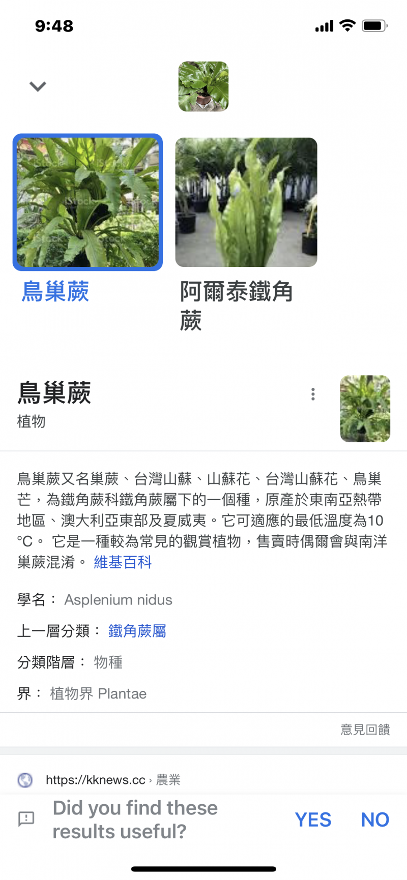 練習操作Google智慧鏡頭