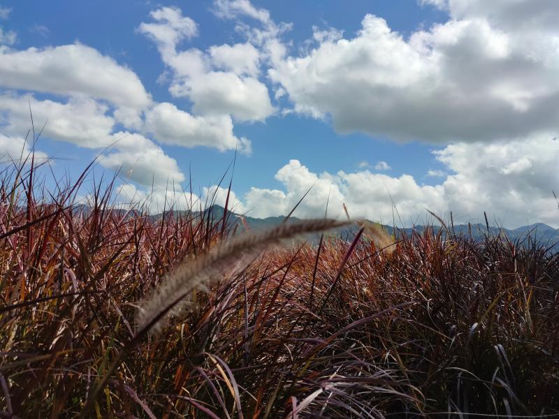 學員外拍成果照片分享2