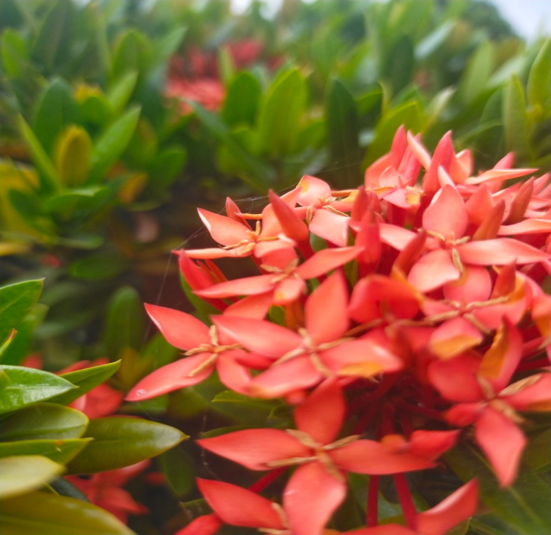 經過老師指導.拍照技巧大大提升