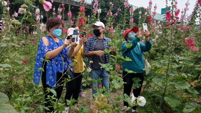 觸口:紫斑蝶動態拍攝教學