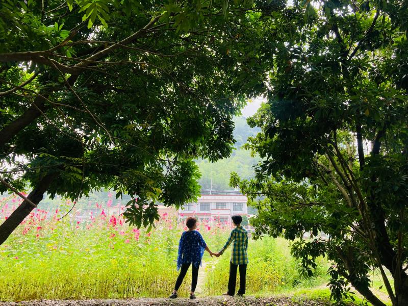 人物與大自然景物特寫