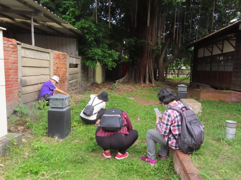 原來放低姿勢,就可看出不同的感覺!下次我也要試試!