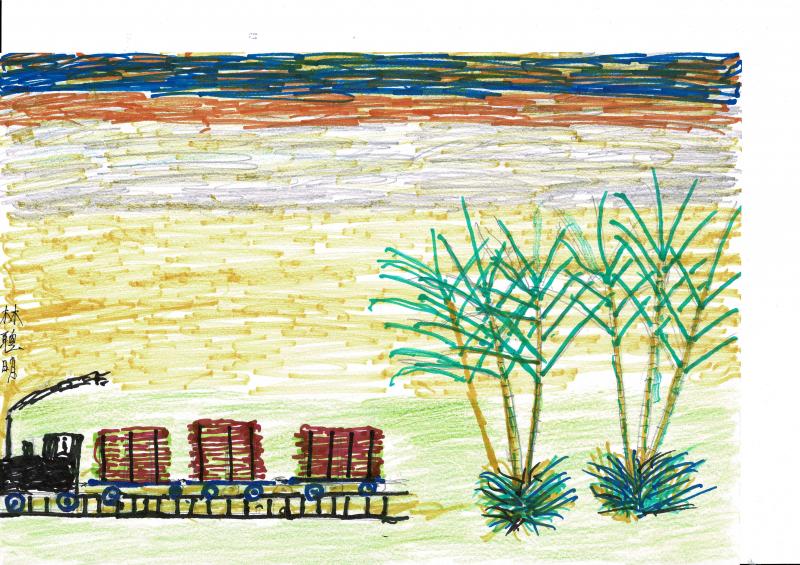 來聽聽長輩的故事