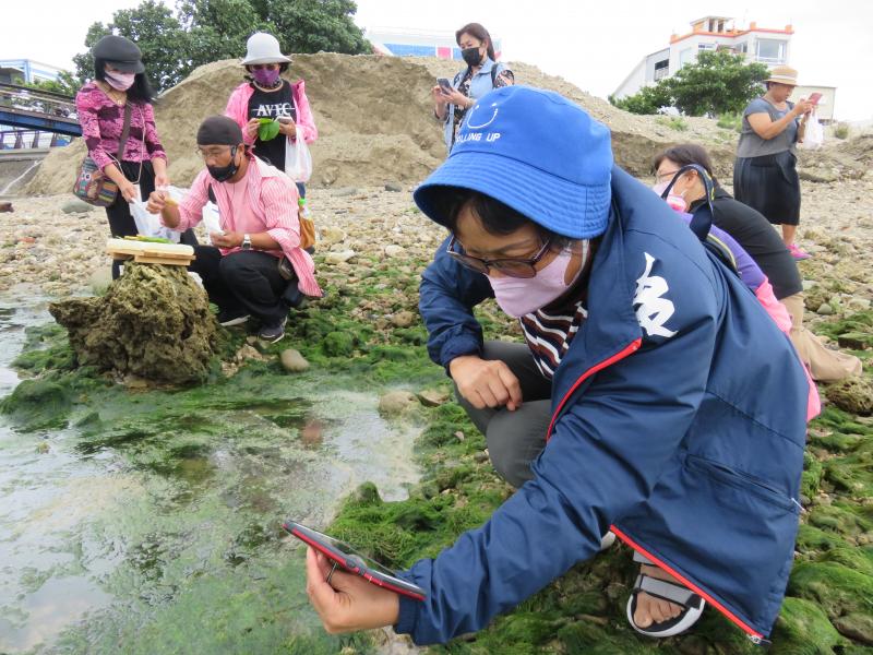 後灣鹽滷豆腐實境拍攝