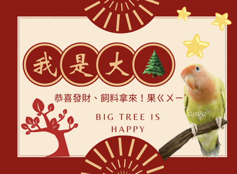 學員陳郁欣的成果作品