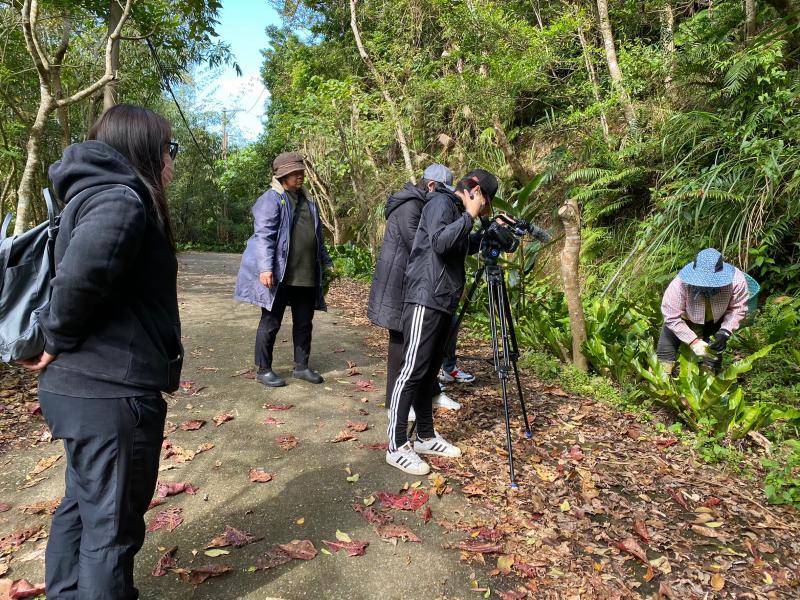 在地職人帶路，尋找部落綠寶石-山蘇，藉由影像記錄認識地方產業文化。