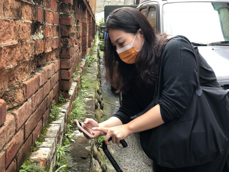 拍攝牆邊的植物，練習使用微距鏡頭