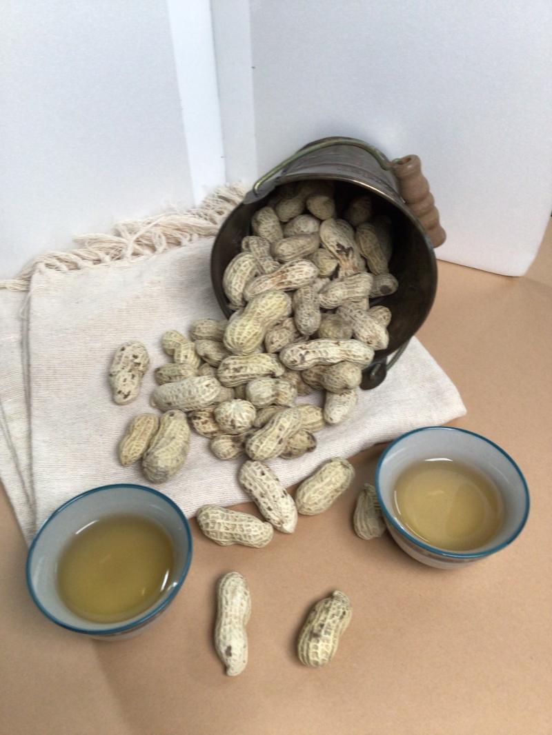 學員個人學習作品-花生拍攝