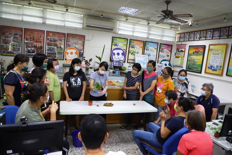 水苔包覆在植物根部