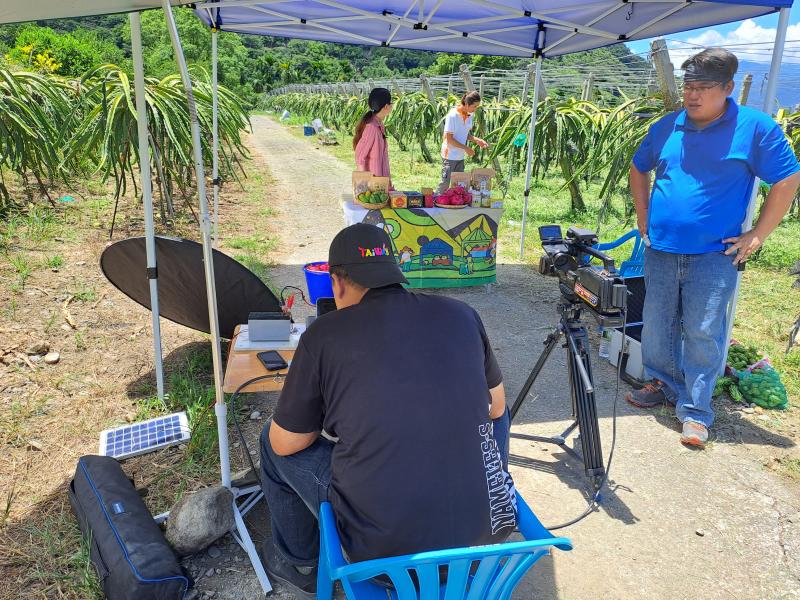 產地直播商家辛勤照顧的火龍果園