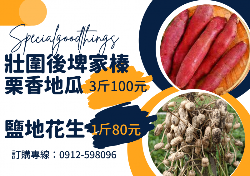 游家榛作物推廣範例