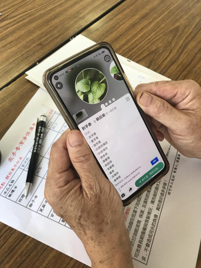 學員利用形色APP找尋左手香，準備製作手工皂