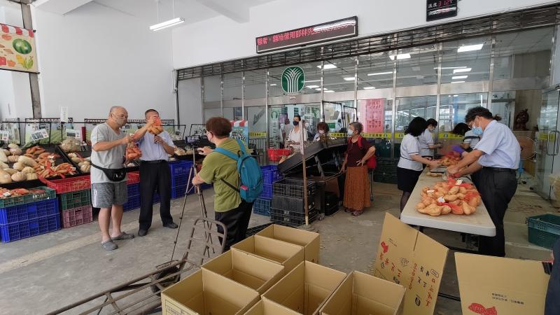 主持人與農會周正男主任介紹三芝種植台農57號地瓜