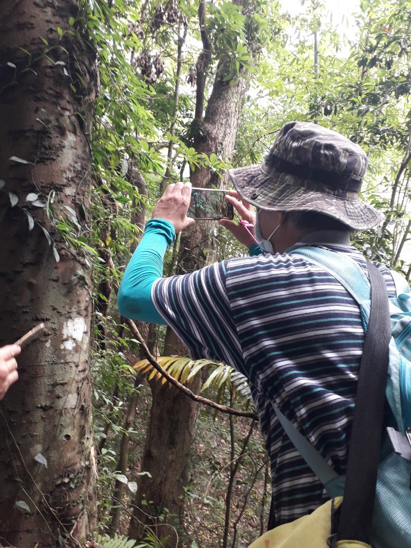 學員使用下載的MapMyRun APP內的新增相片的功能,近距離拍攝山中特有種植物