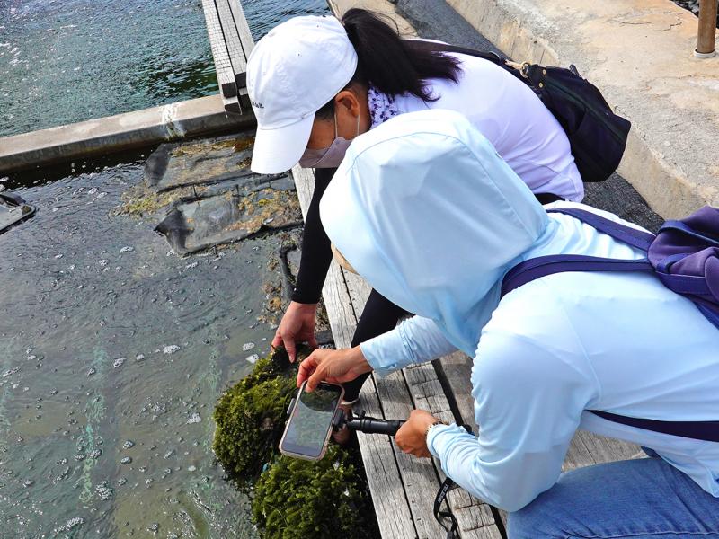 學員認真拍攝行銷影片所需影像素材