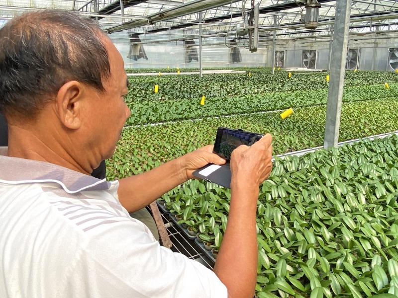 學員使用手機，認真拍攝植物影像