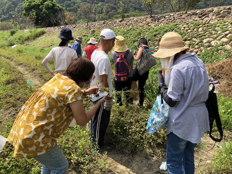 雜草辨識與採集
