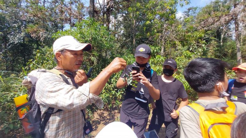 陳萬育理事長長講解，以前噶哈巫族會將青剛櫟種子內部挖空當哨子吹
