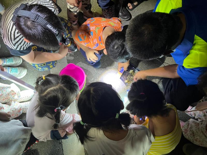 講師講解發現被路殺的螃蟹如何記錄