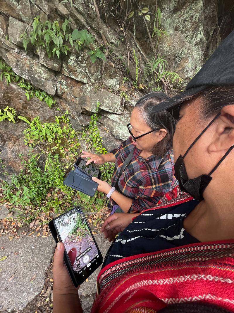 遊程過程中，可利用Google相機來認識植物。