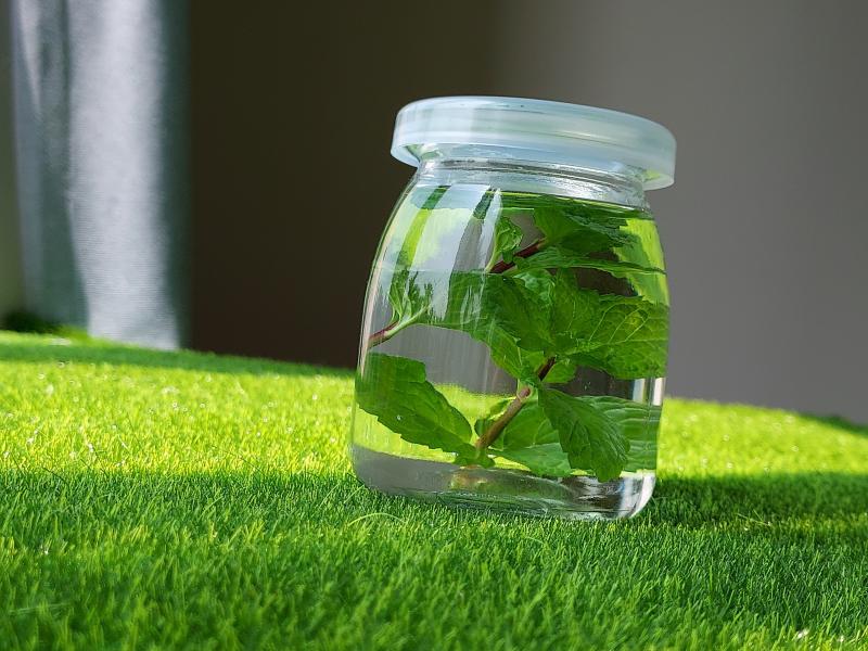 學員練習拍攝的照片作品002