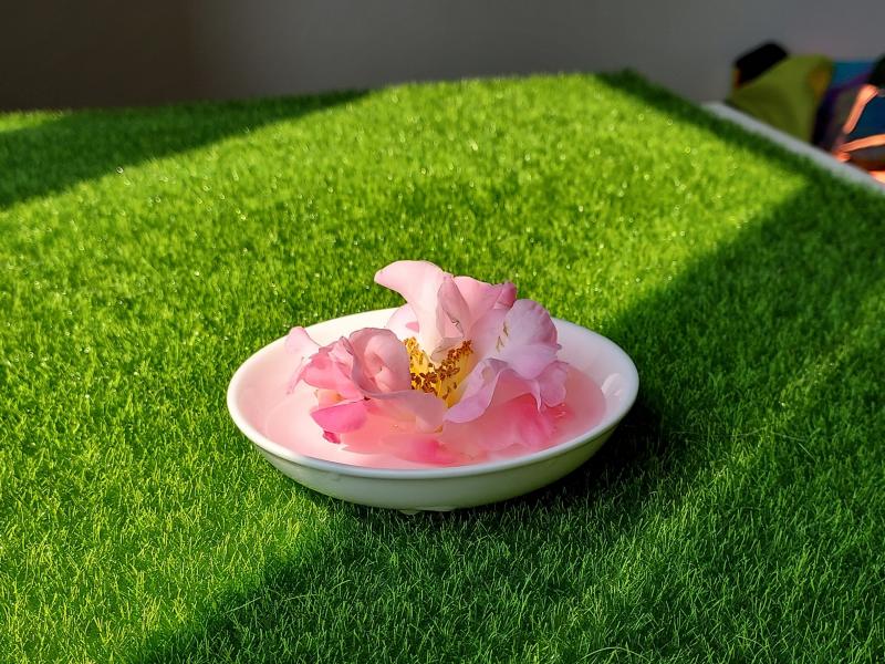 學員練習拍攝的照片作品003