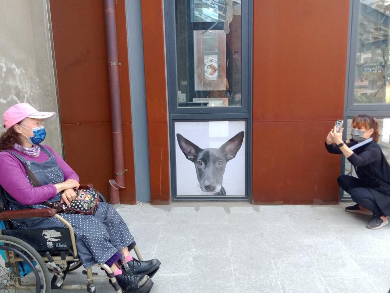 學員們正在練習拍攝