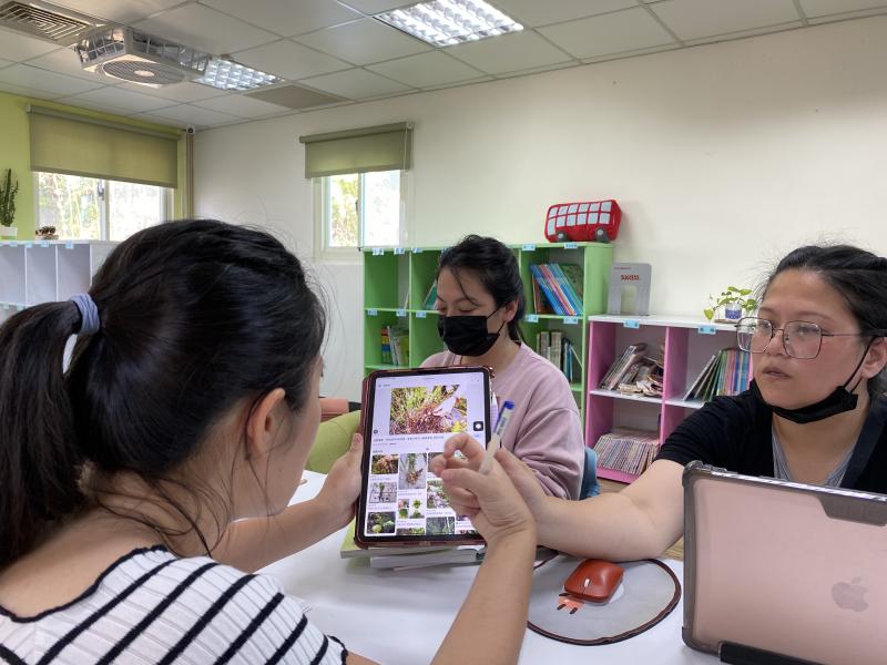 運用平板搜尋野菜不同成長時期的外型，以及有哪些用途或料理方式。