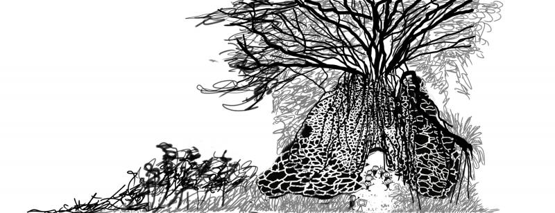 用電繪筆勾勒出林內的石灰窯，展現出歷史歲月的滄桑。