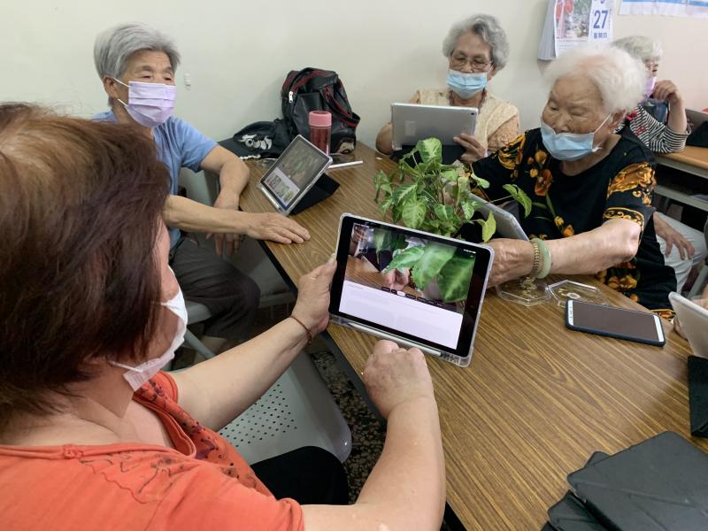 阿嬤也會使用手機的Google智慧鏡頭搜尋植物種類與名稱、辨識不同的植物喔！