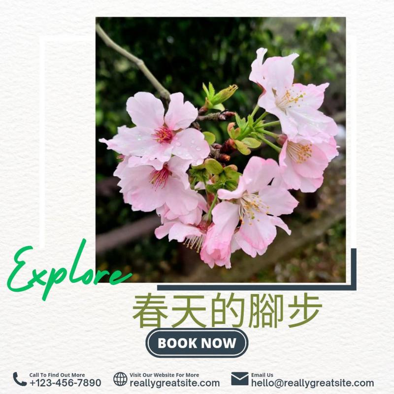 學員作品3放輕鬆春遊