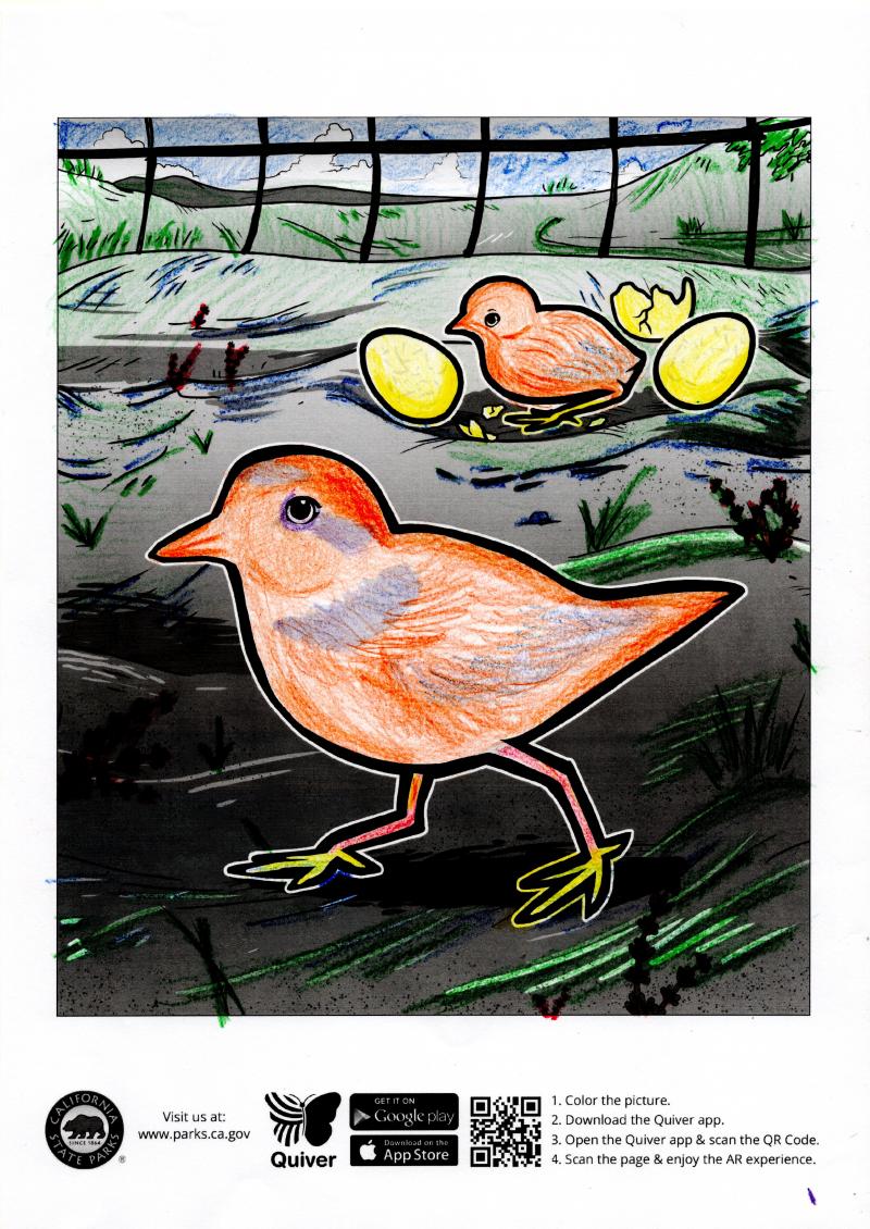 楊惠真學員課程完成作品