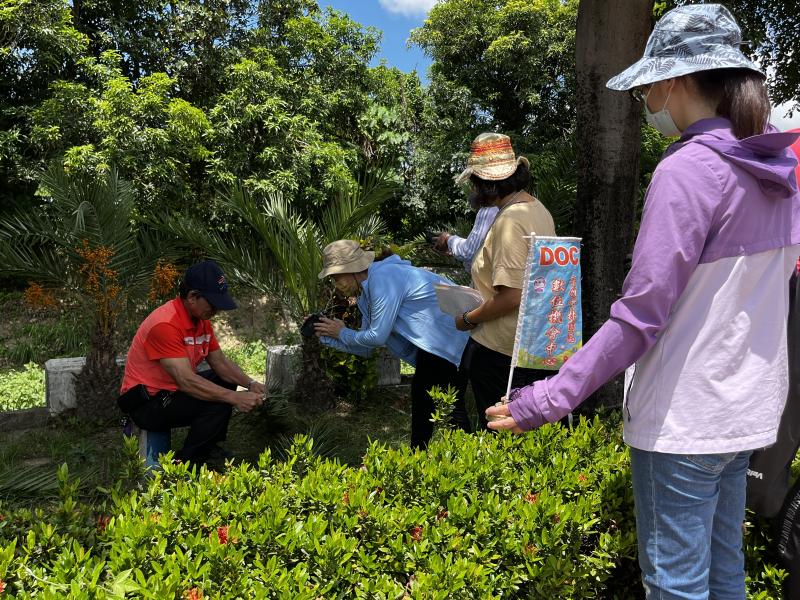 總幹事陳文三，示範槺榔如何採收及處理葉梗。