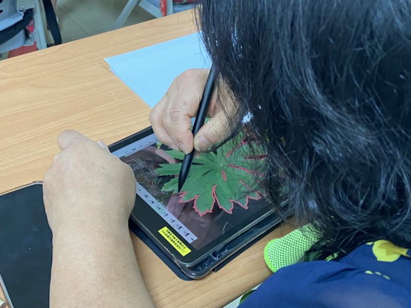 用觸控筆描繪植物葉片外圍的一位女學員