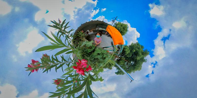 講師帶領長輩到花叢中做全景拍照