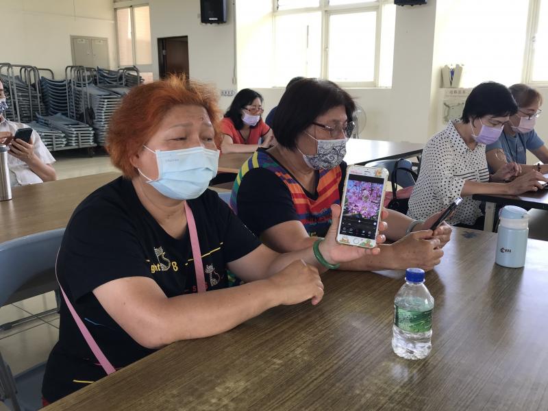 拍攝出美麗的花朵