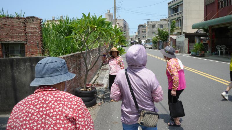 上了一早的課，老師帶著大家到村莊走走,讓阿嬤們,用平板自己找喜歡的景點拍照阿嬤們發揮他們的潛力,紛紛爭相搶拍!