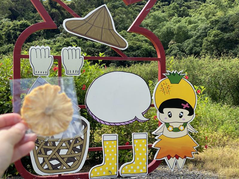 社區導覽從品嚐鳳梨果乾和鳳梨園體驗開始,用快門探險尚武村。